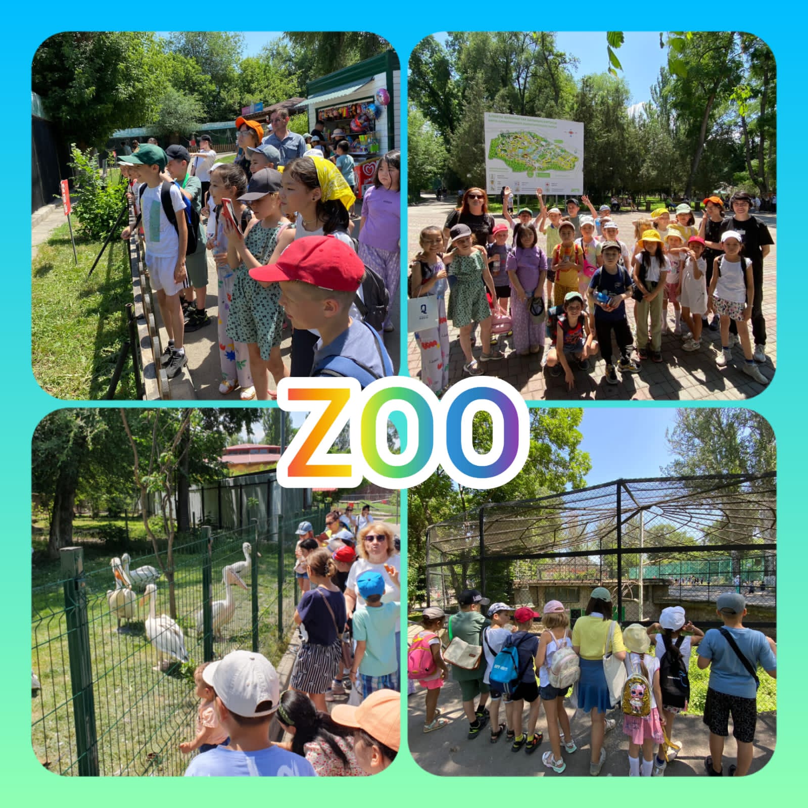 Выезд в зоопарк